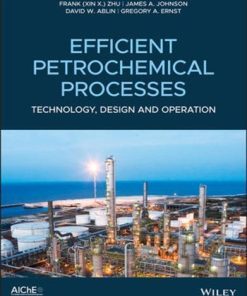 Efficient Petrochemical Processes Technology Design And Operation