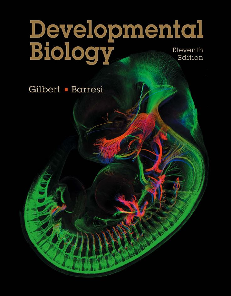 Developmental Biology 11th 11E Scott Gilbert