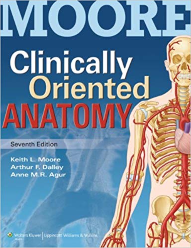 Clinically Oriented Anatomy 7th
