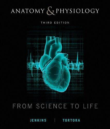 Anatomy And Physiology From Science To Life 3Rd