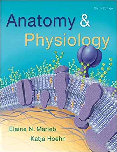 Anatomy 038 Physiology 6th by Elaine N Marieb