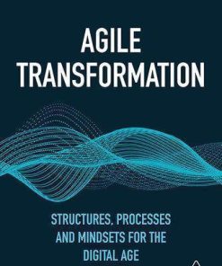 Agile Transformation Structures Processes And Mindsets For The Digital Age