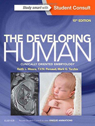 The Developing Human Clinically Oriented Embryology 10E 10Th