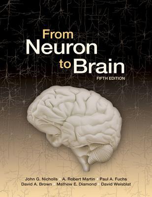 From Neuron To Brain 5th