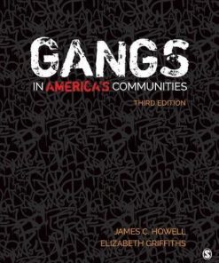 Gangs In Americas Communities