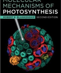 Molecular Mechanisms Of Photosynthesis