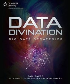 Data Divination Big Data Strategies