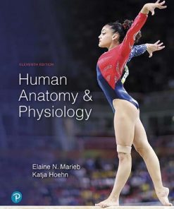 Human Anatomy And Physiology 11Th