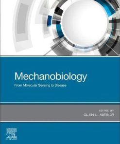 Mechanobiology From Molecular Sensing To Disease