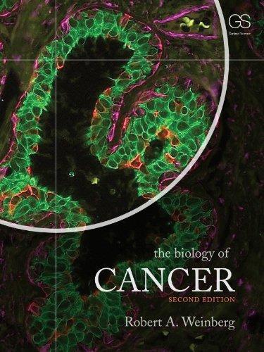 The Biology Of Cancer 2Nd