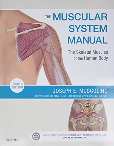 The Muscular System Manual The Skeletal Muscles of the Human Body 8211 4th