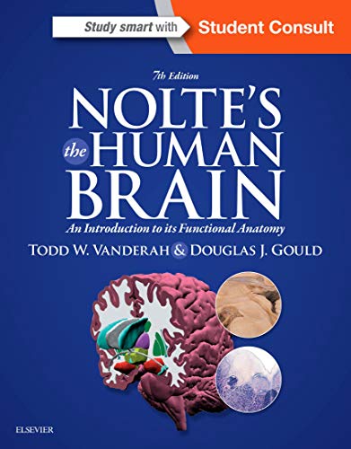 Noltes The Human Brain An Introduction to its Functional Anatomy 8211 7th