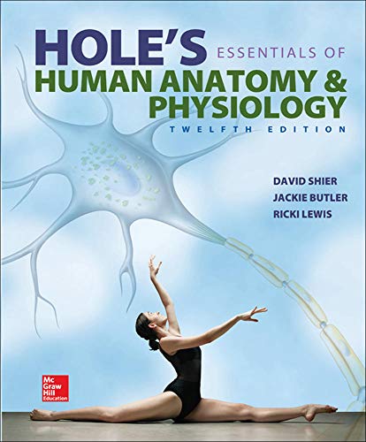 Holes Essentials of Human Anatomy 038 Physiology