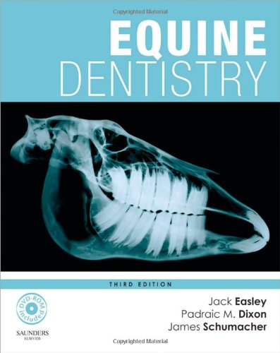 Equine Dentistry 8211 3rd