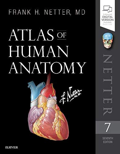 Atlas of Human Anatomy Netter Basic Science 7th