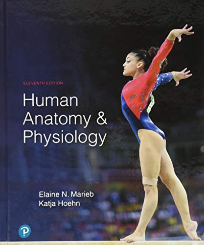 Human Anatomy amp Physiology 11