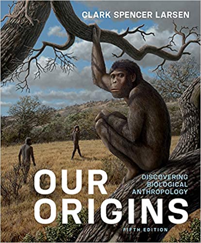 Our Origins Fifth 5th
