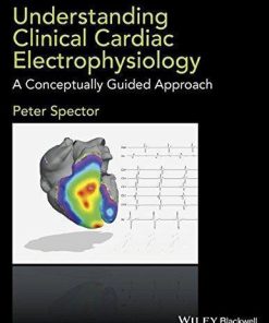 Understanding Cardiac Electrophysiology A Conceptually Guided Approach