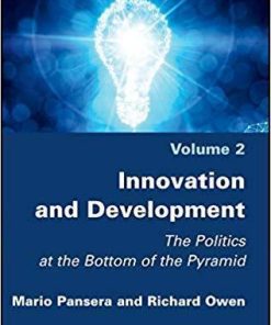 Innovation And Development The Politics At The Bottom Of The Pyramid