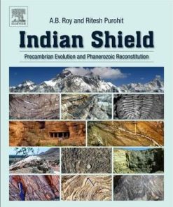 Indian Shield Precambrian Evolution And Phanerozoic Reconstitution