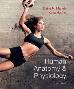 Human Anatomy and Physiology 9th 9E Elaine Marieb