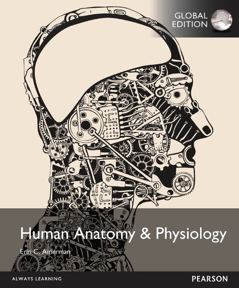 Human Anatomy and Physiology 1st 1E
