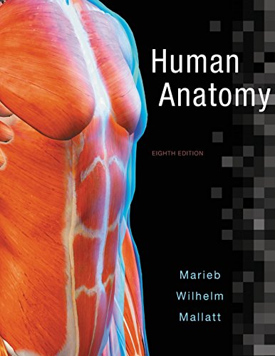 Human Anatomy 8th by Elaine N Marieb