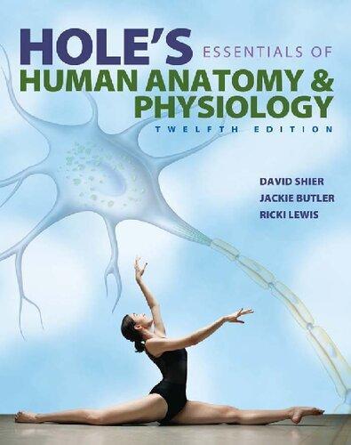 Holes Essentials Of Human Anatomy Physiology 12th