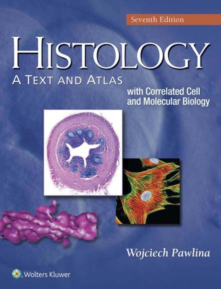 Histology A Text and Atlas 7th 7E